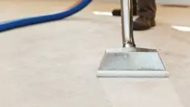 Carpet cleaning wand head gliding over a light carpet during hot-water extraction, Bellevue, WA.