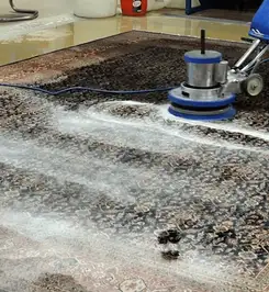 Professional rug cleaning with a rotary floor machine and shampoo foam, deep-cleaning an area rug Bellevue, WA.